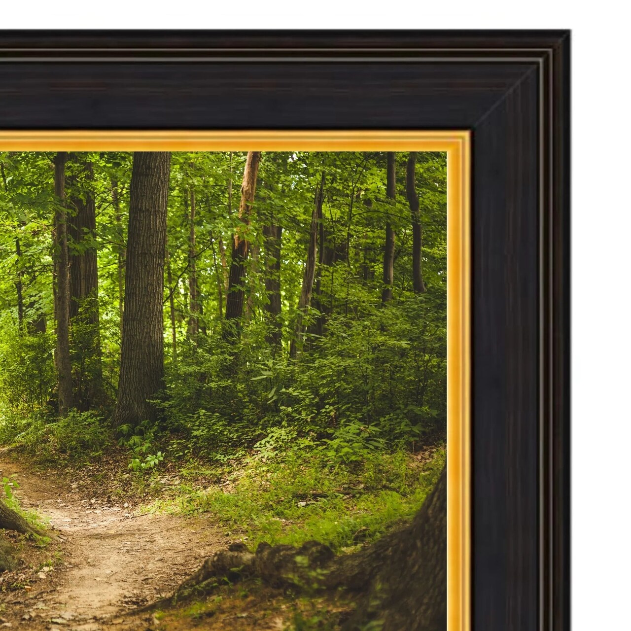 100 Inch TV Picture Frame - Decorative Custom frame for 100 inch TV Samsung